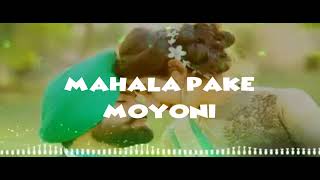 Arafa hussein X kaynaksh _song: moyoni