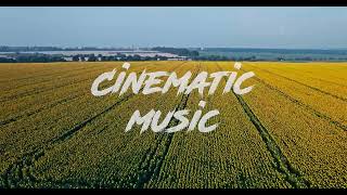 The Seal Of The Guardians - Shahead Mostafafar | Cinematic Music Background | Free Download 4K