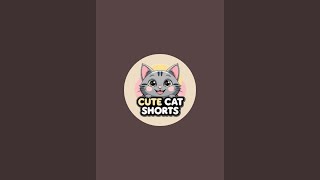 Cute Cat Shorts is live!
