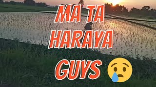 Ma haraya guys !! vloging garda !! @NepaliBabu100