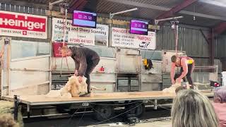 Llangunllo Show 2024 Speed Shear 4