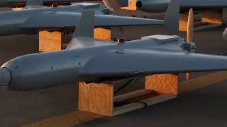 America Announces LUCAS Drone, Replica of Shahed Drone