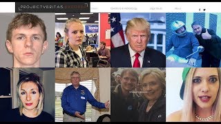 Lauren Windsor: Project Veritas Exposed
