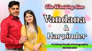 (Live ) Wedding Ceremony Of Vandana & Harpinder Singh -    Live By Birdi tv 7528989399
