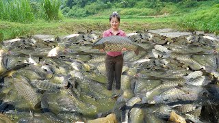 Drain The Mud Pond with a Water Pump - Catching A Lot Of Carp At Mud Pond Go To Village Sell