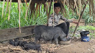 Pigs are growing strong - Cleaning the garden and re-planing the wooden house pillars