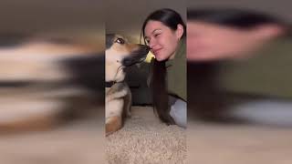 GIRLS FARTING ON DOG COMPILATION!