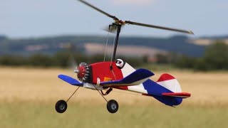 RC autogyro, The Whippit Type 'D'