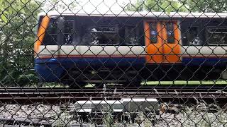Trains filmed from Crystal Palace Park 31st May 2024
