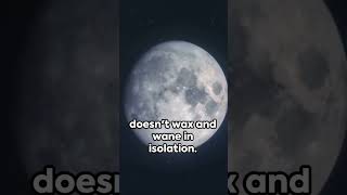 To be a witch is to understand the ancient songs of the earth, to move with the moon's phases, and t