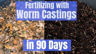 Worm Castings - Top dressing garden with worm compost