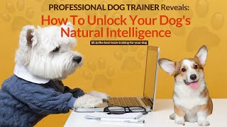 Professional Dog Trainer Reveals: How To Unlock Your Dog's Natural Intelligence
