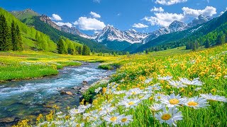 Sleep Music | Deep Healing and Relaxing Tunes for Sweet Dreams 🌷 Calm Your Mind