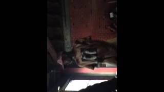 VERYRARE PT 2 & PLANET DROOL LIVE PERFORMANCE.