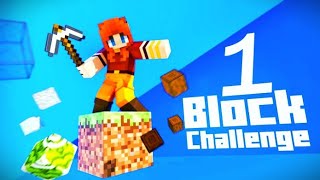 Minecraft | One Block Challenge | By | Dry King