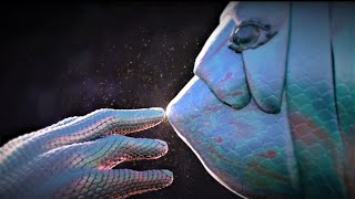 DeeP HousE Live - Dive
