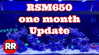 RSM650 1 month update.