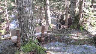 Four Mile Brook Falls on the Cape to Cape Trail
