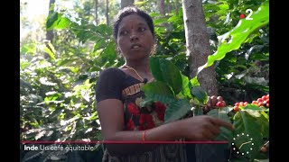 India: A Fair Trade Coffee (Video Excerpt from France 2 New Delhi)