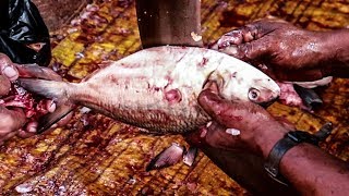 Professional Hilsa Fish Cutting Skills Live In Fish Market | Expert Fish Cutting And Slicing