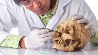 Why it is Important for Patients and Plastic Surgeons to Understand Ethnic Plastic Surgery