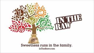 Live From The Playroom Ft. Grahame Lesh