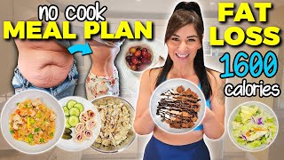 I Lost Weight FAST with This 1600 Calorie Meal Plan (NO COOK HIGH PROTEIN)