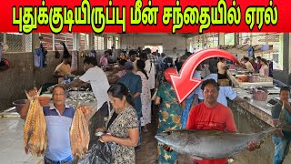 🛑புதுக்குடியிருப்பு மீன் சந்தையில் 70.kg பாரிய மீன்கள்
