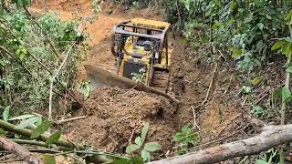 You Won't Believe How This CAT D6R XL Opens a Path for Plantains