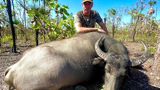 Hunting Buffalo On Public Land For $60 A Day In The NT