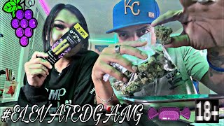 GRAPE OPTIMO LIVE REVIEW | ELEVATED GANG 🍇🔥