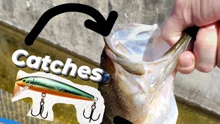 Using a Bass Lure in Saltwater(Surprising Results)