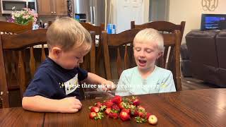 Jack of the South - Strawberries Did Not Last Long