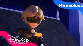 Cat Noir er ulykkelig forelsket | Miraculous | Disney Channel Norge