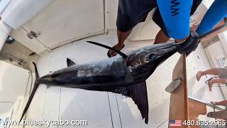 Cabo Fishing Charter Experience: Reel in Big Fish
