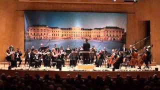 Schönbrunn Orchester