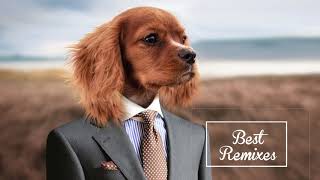 Sad Puppy feat. Peter Shev Sax - Alone With You