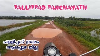 ഗ്രാമ ഭംഗി | പള്ളിപ്പാട്‌ പഞ്ചായത്ത് | Pallipad in Alappuzha District 