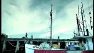Air NZ Fishing
