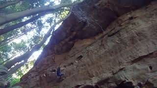 Fade to Black, Oliver Stone, Blue Mountains, Brad