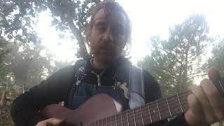 Morning Song