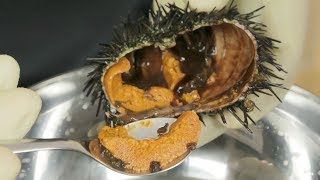 How to Prepare LIVE Sea Urchin "Uni"