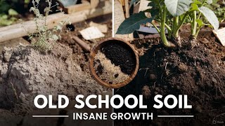 I Tried This Old School Soil Mix and Plants Exploded with Growth