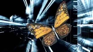 Rules of Deception Trailer 3 - by Author Christopher Reich