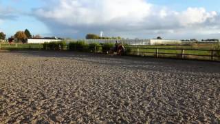 Paard rijden