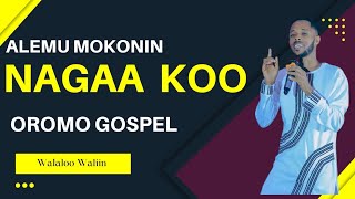 Alemu Mokonin - Nagaa Nagaakoo - walaloo waliin - Protestant Gospel song