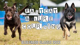 Bluegrass Classic Dog Show 2022 - AKC FastCAT & Lure Coursing Vlog