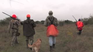 WTFmedia TV Garwood Upland Game Hunt