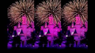 Disney World Magic Kingdom Fireworks
