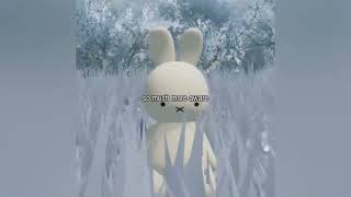 Miffy Maxxing